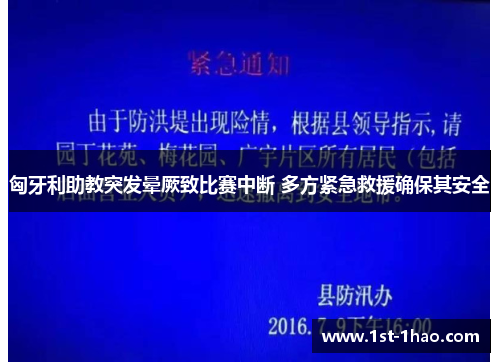 匈牙利助教突发晕厥致比赛中断 多方紧急救援确保其安全