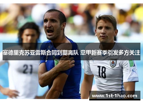 塞德里克苏亚雷斯合同到期离队 意甲新赛季引发多方关注