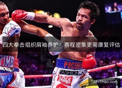 四大拳击组织肩袖养护：赛程密集更需康复评估